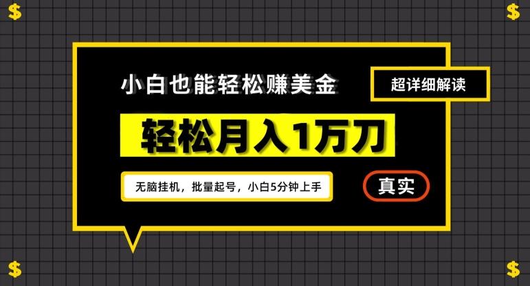 谷歌看广告撸美金2.0，无脑挂机，多号操作，月入1万刀【揭秘】-星禾网创星球