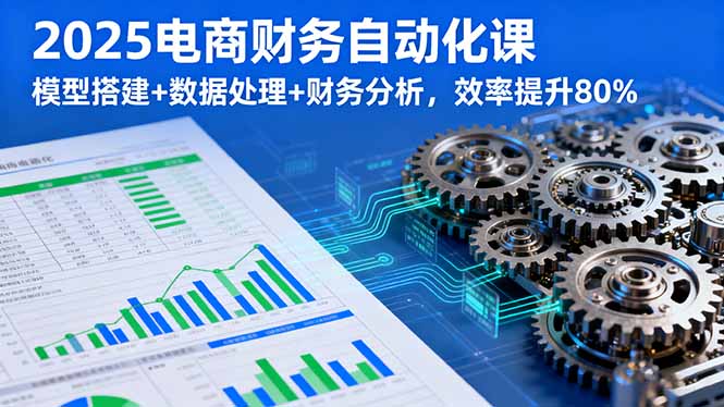 2025电商财务自动化课，模型搭建+数据处理+财务分析，效率提升80%-星禾网创星球
