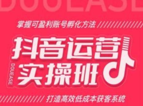抖音运营实操班，掌握可盈利账号孵化方法，打造高效低成本获客系统-星禾网创星球