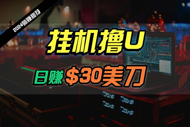 (10013期)日赚30美刀，2024最新海外挂机撸U内部项目，全程无人值守，可批量放大-星禾网创星球