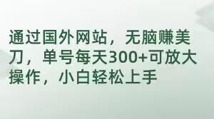 通过国外网站，无脑赚美刀，单号每天300+可放大操作，小白轻松上手【揭秘】-星禾网创星球