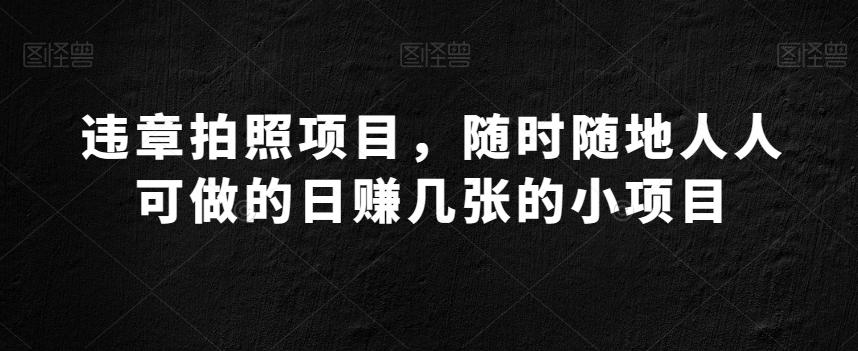违章拍照项目，随时随地人人可做的日赚几张的小项目-星禾网创星球