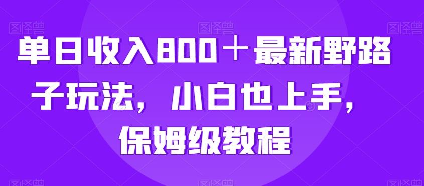 单日收入800＋最新野路子玩法，小白也上手，保姆级教程-星禾网创星球