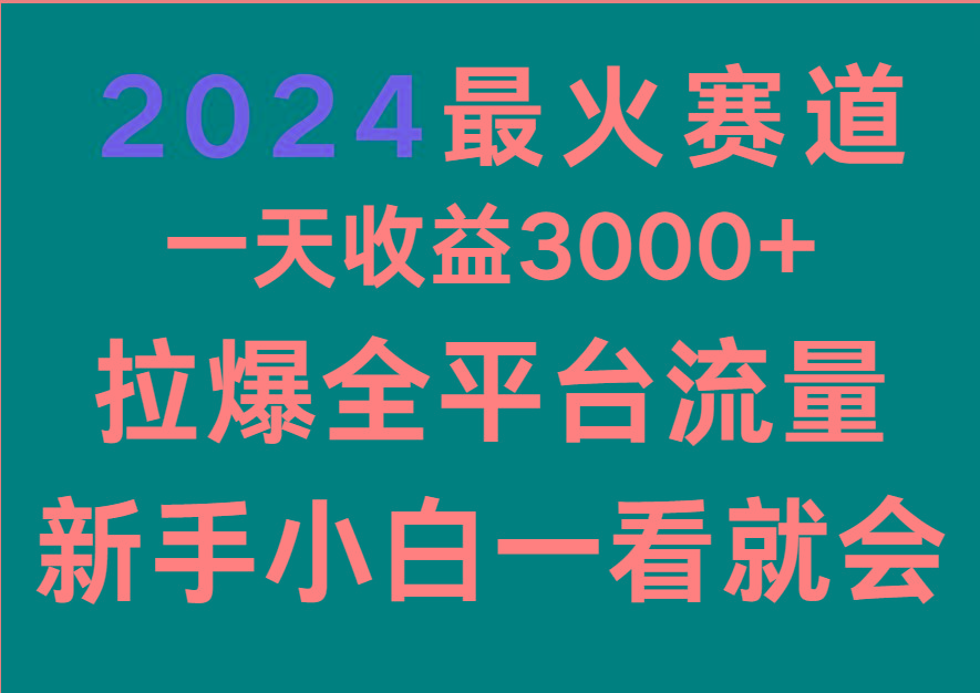 2024最火赛道，一天收一3000+.拉爆全平台流量，新手小白一看就会-星禾网创星球
