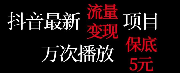 抖音流量变现，万次播放保底5元，额外收入-星禾网创星球