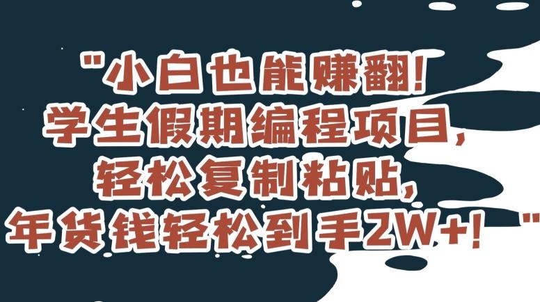 小白也能赚翻！学生假期编程项目，轻松复制粘贴，年货钱轻松到手2W+【揭秘】-星禾网创星球