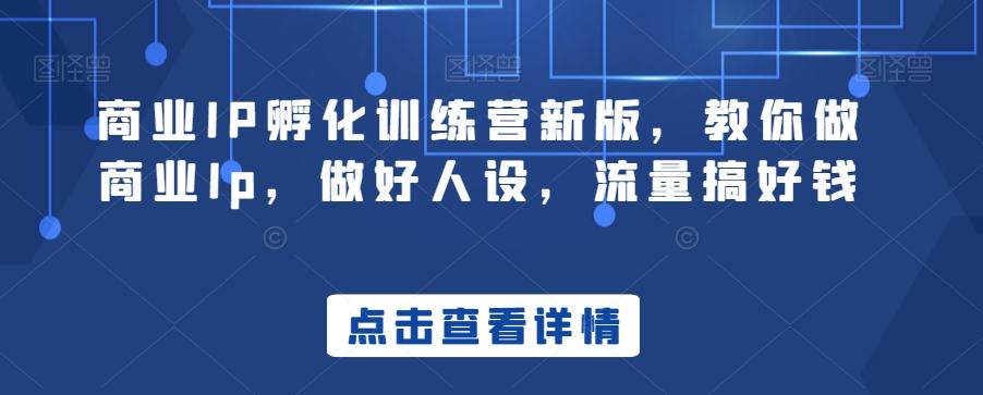 商业IP孵化训练营新版，教你做商业Ip，做好人设，流量搞好钱-星禾网创星球