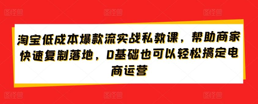 淘宝低成本爆款流实战私教课，帮助商家快速复制落地，0基础也可以轻松搞定电商运营-星禾网创星球