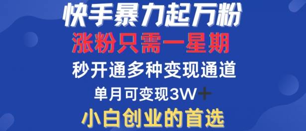 快手暴力起万粉，涨粉只需一星期，多种变现模式，直接秒开万合，单月变现过W【揭秘】-星禾网创星球