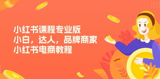 小红书课程专业版，小白，达人，品牌商家，小红书电商教程(15节-星禾网创星球