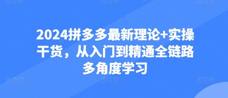 2024拼多多最新理论+实操干货，从入门到精通全链路多角度学习-星禾网创星球
