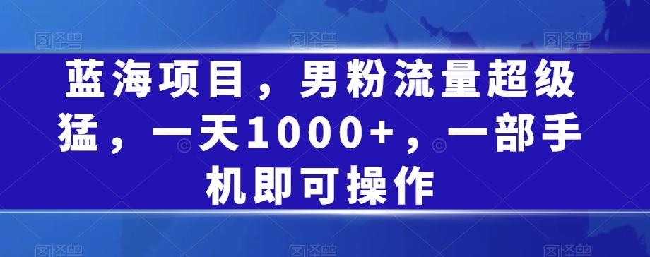 蓝海项目，男粉流量超级猛，一天1000+，一部手机即可操作【揭秘】-星禾网创星球