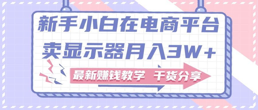 新手小白如何做到在电商平台卖显示器月入3W+，最新赚钱教学干货分享-星禾网创星球