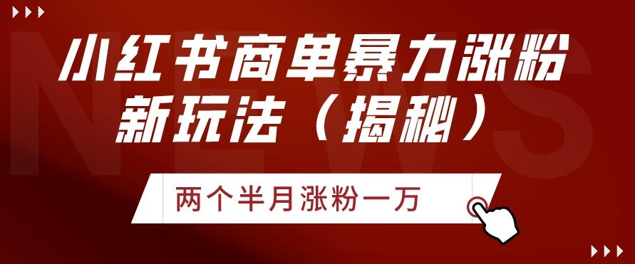 小红书商单暴力涨粉新玩法两个半月涨粉一万（揭秘）-星禾网创星球