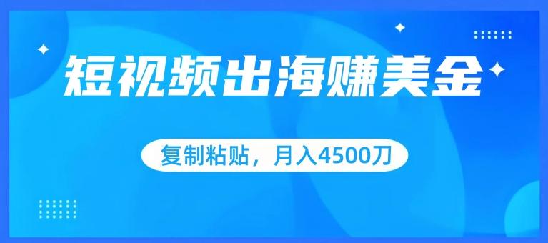 短视频出海赚美金，复制粘贴批量操作，小白轻松掌握，月入4500美刀【揭秘】-星禾网创星球