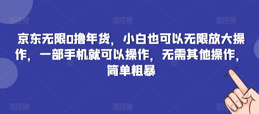京东无限0撸年货，小白也可以无限放大操作，一部手机就可以操作，无需其他操作，简单粗暴-星禾网创星球