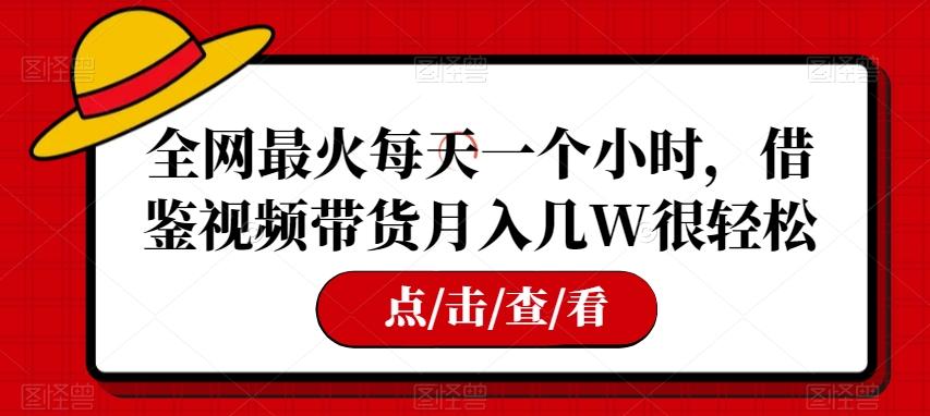全网最火每天一个小时，借鉴视频带货月入几W很轻松【揭秘】-星禾网创星球