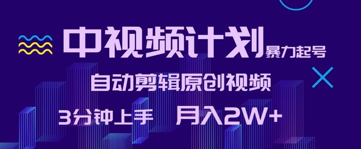 中视频计划暴力起号，自动剪辑原创视频，3分钟上手，月入2W+【揭秘】-星禾网创星球