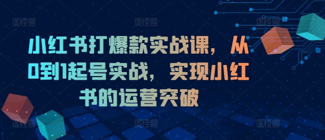 小红书打爆款实战课，从0到1起号实战，实现小红书的运营突破-星禾网创星球