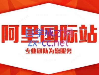 张杰老师·外贸国际站运营顾问-星禾网创星球