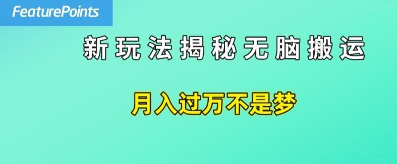 简单操作，每天50美元收入，搬运就是赚钱的秘诀【揭秘】-星禾网创星球