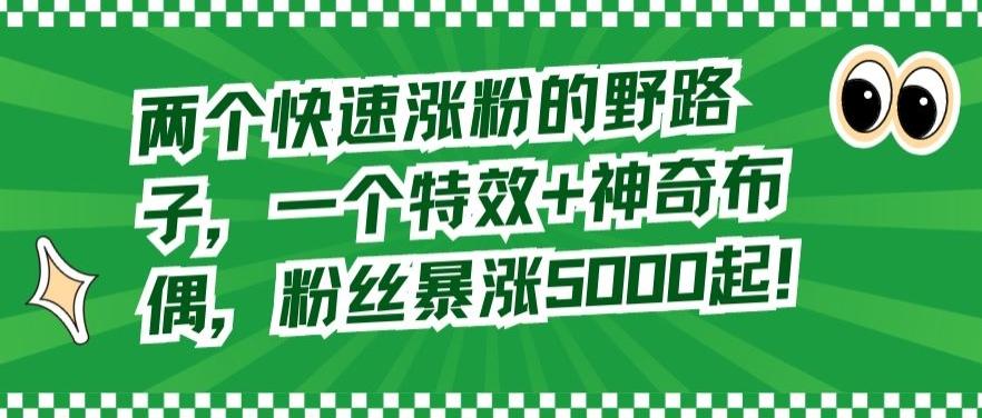 两个快速涨粉的野路子，一个特效+神奇布偶，粉丝暴涨5000起【揭秘】-星禾网创星球