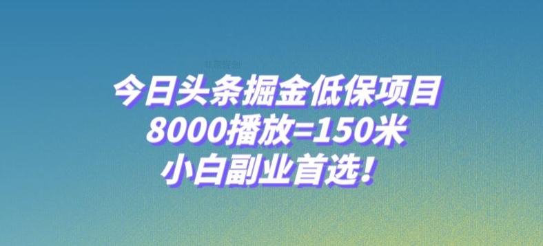 今日头条掘金低保项目，8000播放=150米，小白副业首选【揭秘】-星禾网创星球