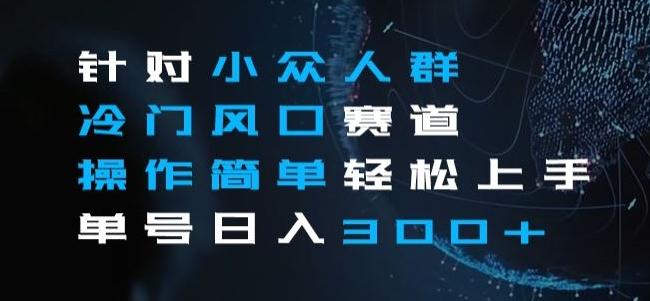 针对小众人群冷门风口赛道，操作简单轻松上手单号日入300+-星禾网创星球