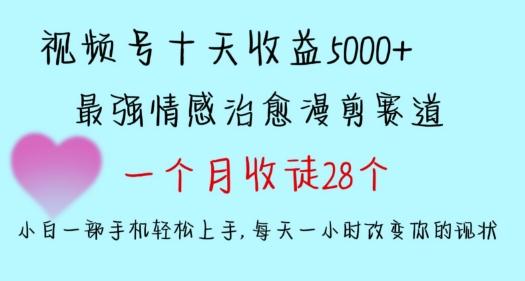 十天收益5000+，多平台捞金，视频号情感治愈漫剪，一个月收徒28个，小白一部手机轻松上手【揭秘】-星禾网创星球