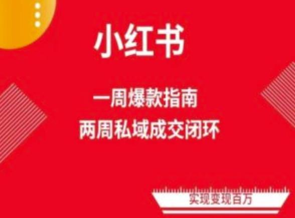 爆款小红书免费流量体系课程(两周变现)，小红书电商教程-星禾网创星球