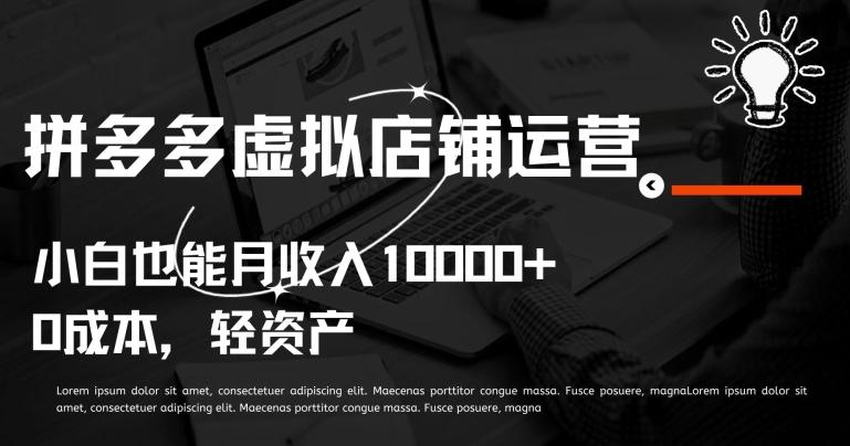 拼多多虚拟店铺运营小白也能月收入10000+【揭秘】-星禾网创星球