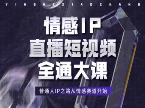 情感IP直播短视频全通大课，普通人IP之路从情感赛道开始-星禾网创星球