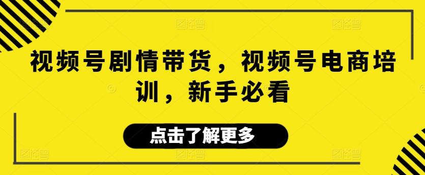 视频号剧情带货，视频号电商培训，新手必看-星禾网创星球