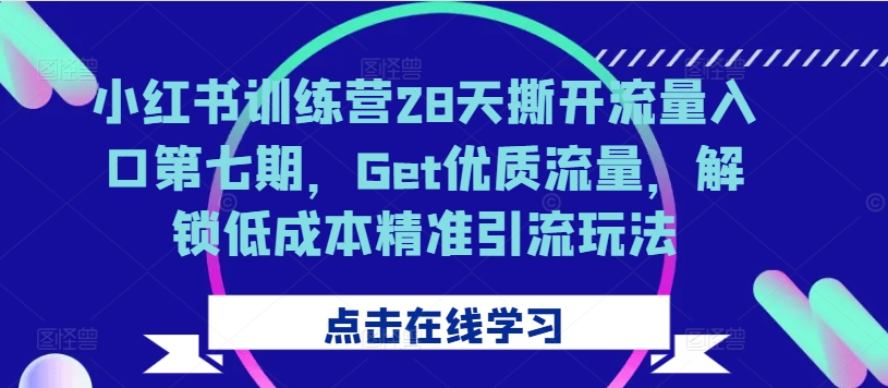 小红书训练营28天撕开流量入口第七期，Get优质流量，解锁低成本精准引流玩法-星禾网创星球