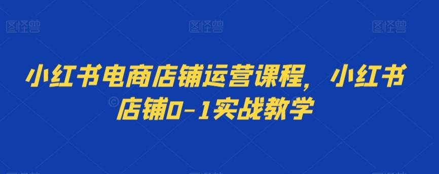 小红书电商店铺运营课程，小红书店铺0-1实战教学-星禾网创星球