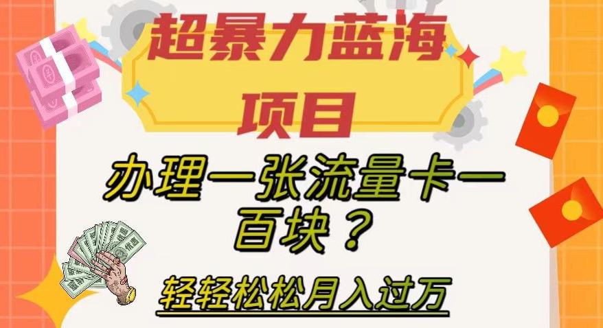超暴力蓝海项目，办理一张流量卡一百块？轻轻松松月入过万，保姆级教程【揭秘】-星禾网创星球
