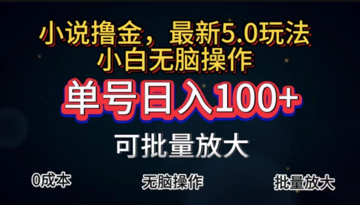 全自动小说撸金，单号日入100+小白轻松上手，无脑操作-星禾网创星球