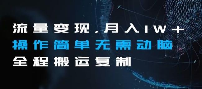 流量变现，月入1W+操作简单无需动脑全程搬运复制【揭秘】-星禾网创星球