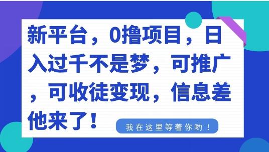 不要再花冤枉钱了，0撸项目，每天坚持，稳定1000+-星禾网创星球