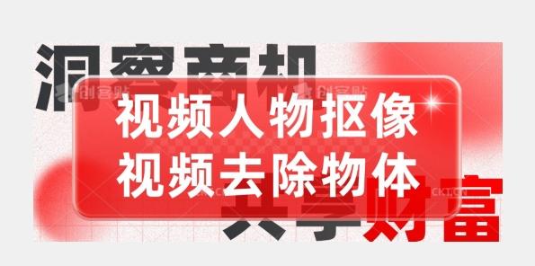 【超强视频处理工具】视频人物抠像+视频去除物体-星禾网创星球