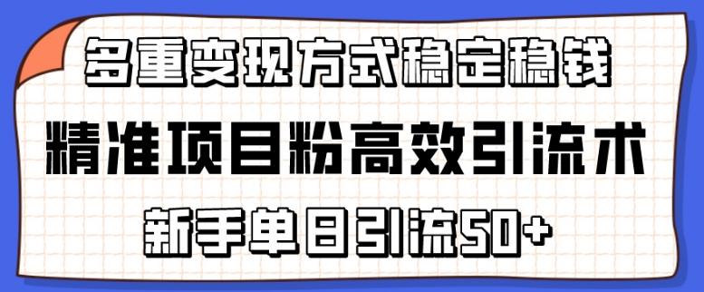 精准项目粉高效引流术，新手单日引流50+，多重变现方式稳定赚钱【揭秘】-星禾网创星球