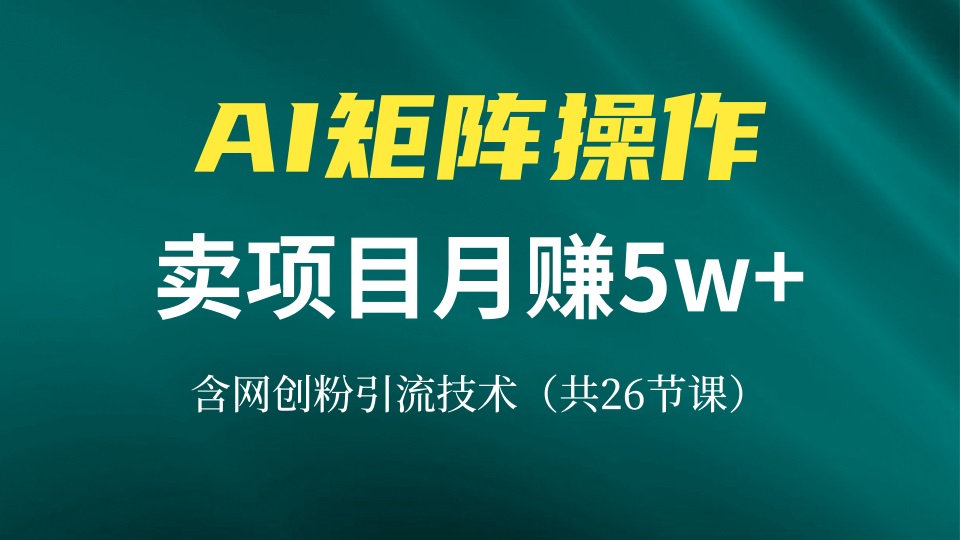 网创IP打造课，借助AI卖项目月赚5万+，含引流技术(共26节课-星禾网创星球
