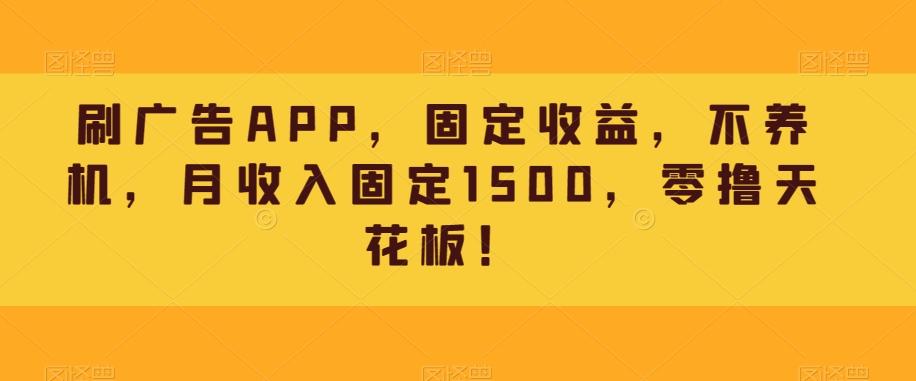 刷广告APP，固定收益，不养机，月收入固定1500，零撸天花板！-星禾网创星球