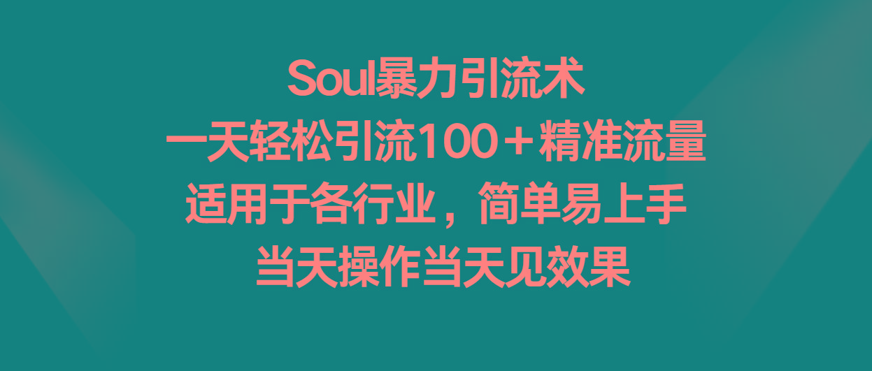 Soul暴力引流术，一天轻松引流100＋精准流量，适用于各行业，简单易上手！-星禾网创星球
