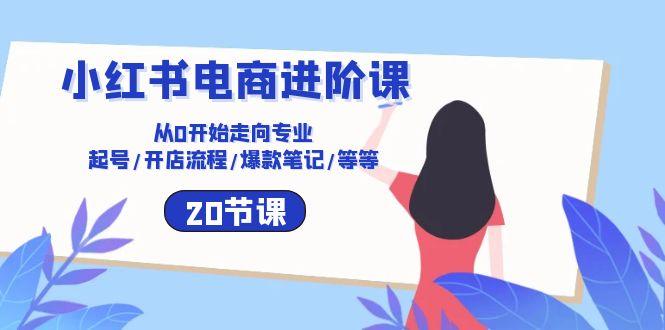 小红书电商进阶课：从0开始走向专业 起号/开店流程/爆款笔记/等等(20节-星禾网创星球