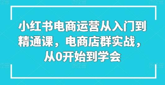 小红书电商运营从入门到精通课，电商店群实战，从0开始到学会-星禾网创星球