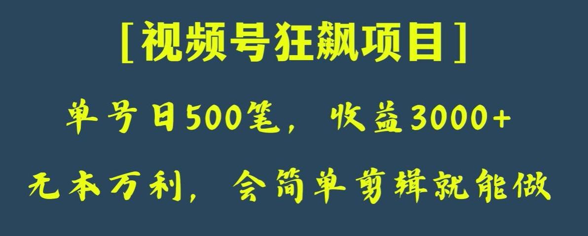 日收款500笔，纯利润3000+，视频号狂飙项目，会简单剪辑就能做【揭秘】-星禾网创星球