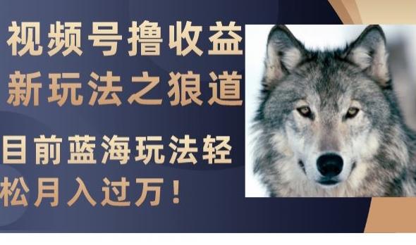 视频号撸收益新玩法之狼道，目前蓝海玩法，轻松月入过万【揭秘】-星禾网创星球