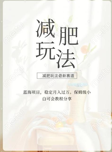 减肥流量主新玩法，轻松月入1W，可矩阵操作收入翻倍-星禾网创星球