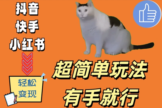 超简单玩法，有手就行，靠猫咪视频日入500+【揭秘】-星禾网创星球